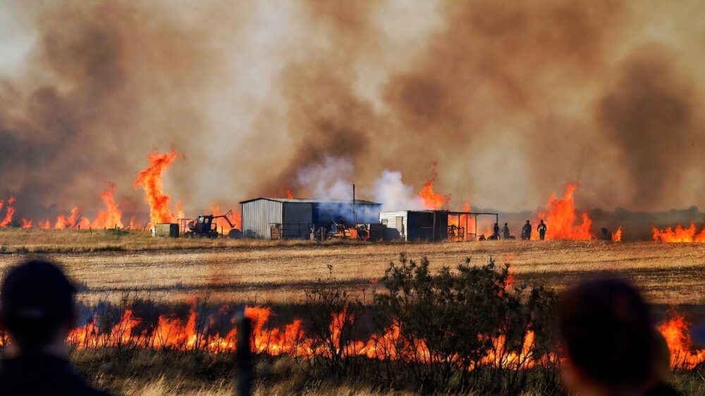 Incendi boschivi: rischio d'impresa in Basilicata e Puglia