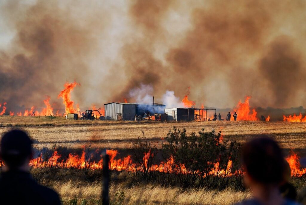 Incendi boschivi: rischio d'impresa in Basilicata e Puglia
